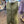 Aureum Olive Sleeveless Linen Vest