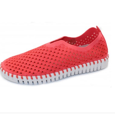 Ilse Jacobsen Tulip Raspberry Flats
